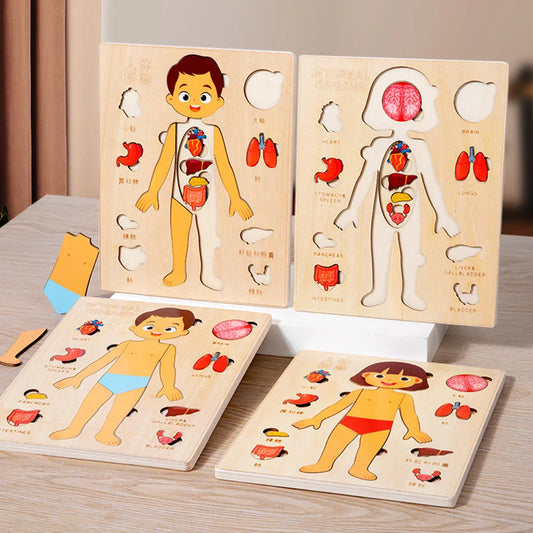 Montessori Wooden Human Body Jigsaw Puzzle, Anatomy Play Set for kids