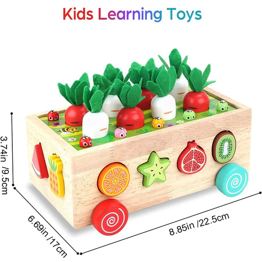 Wooden Montessori Multifunction Shape Sorting Toy, Toddler Preschool Matching Game