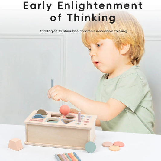 Baby Montessori Sensory Toy, Activity Box, Color Sorting & Ball Drop for Fine Motor Skills & Early Education