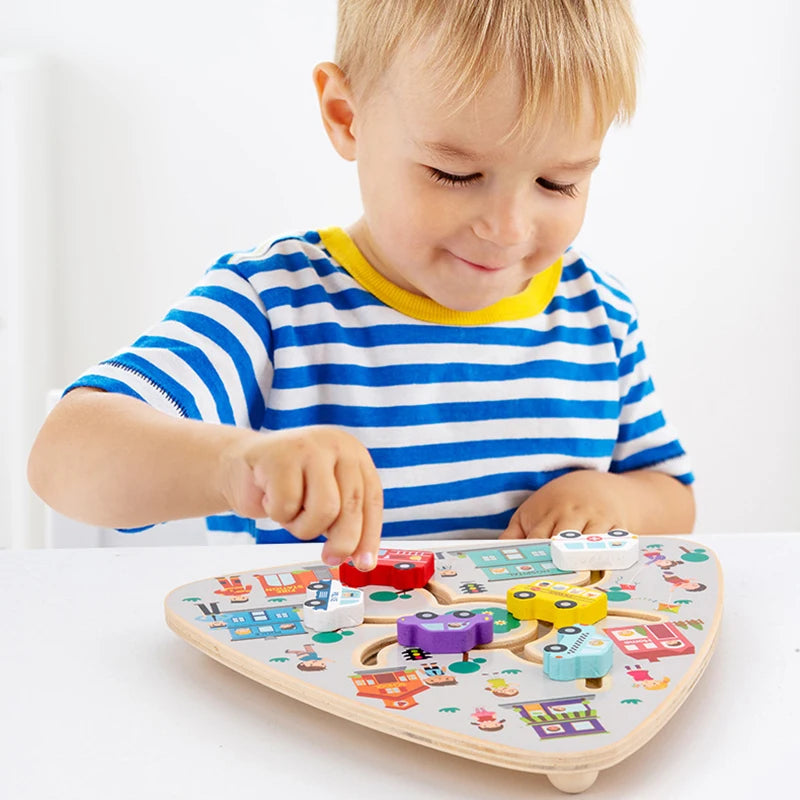 Montessori Wooden Maze Puzzle Boards, Matching Games Educational Learning Toys