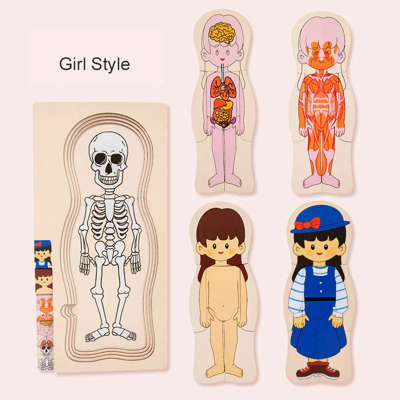 Montessori Wooden Multi‑Layer Human Body Puzzle, Anatomy Educational Jigsaw Toy for Kids