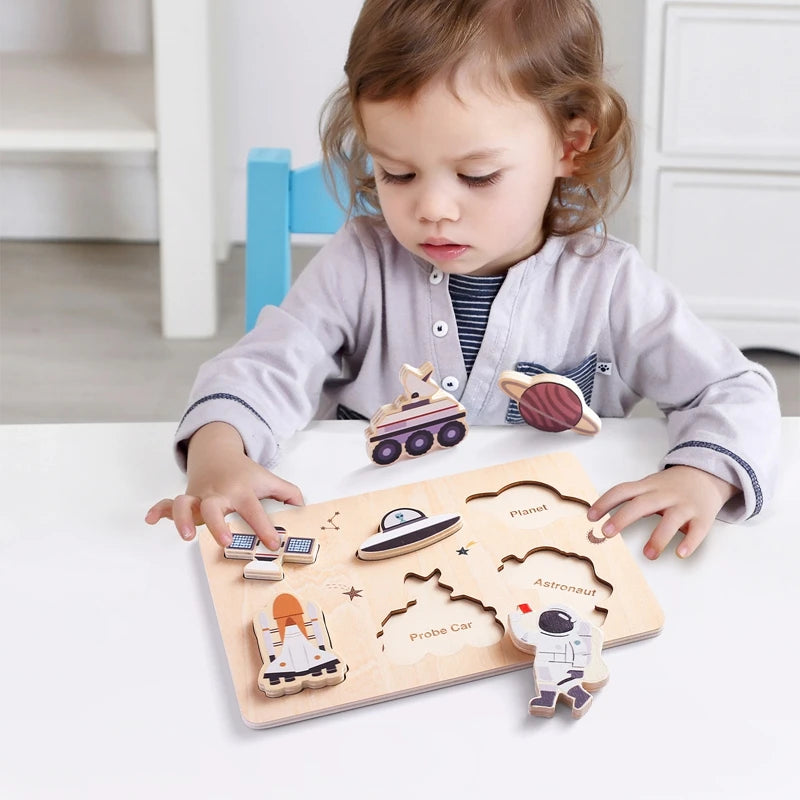 Montessori Wooden Jigsaw Puzzle Building Blocks