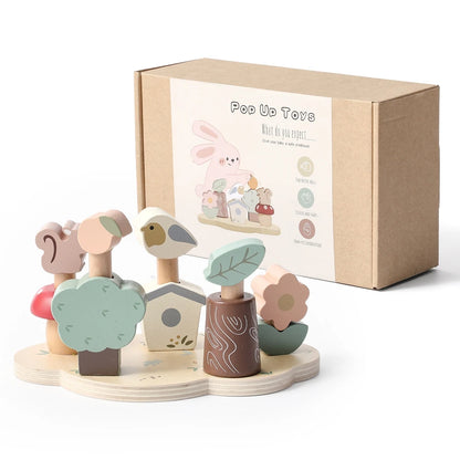 Montessori Wooden Color Recognition & Bouncing Toy