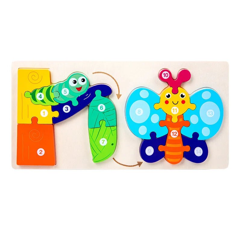 3D Life Cycle Puzzle - LittleOzKid