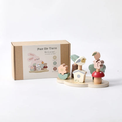 Montessori Wooden Color Recognition & Bouncing Toy
