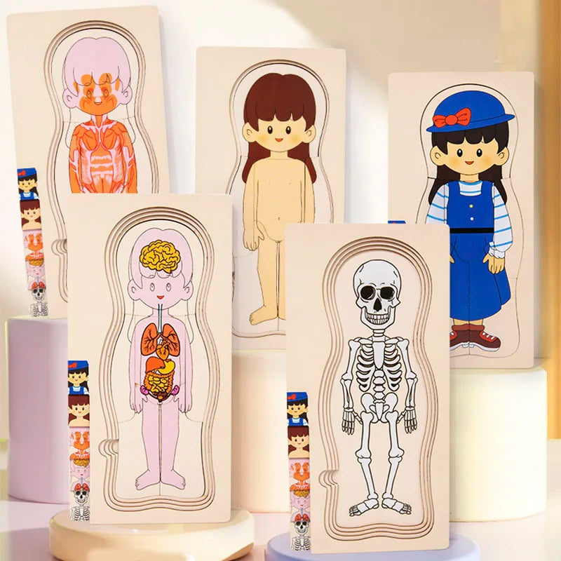 Montessori Wooden Multi‑Layer Human Body Puzzle, Anatomy Educational Jigsaw Toy for Kids