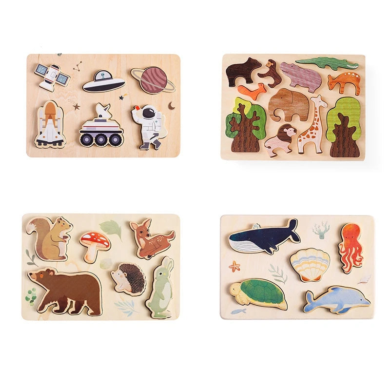 Montessori Wooden Jigsaw Puzzle Building Blocks