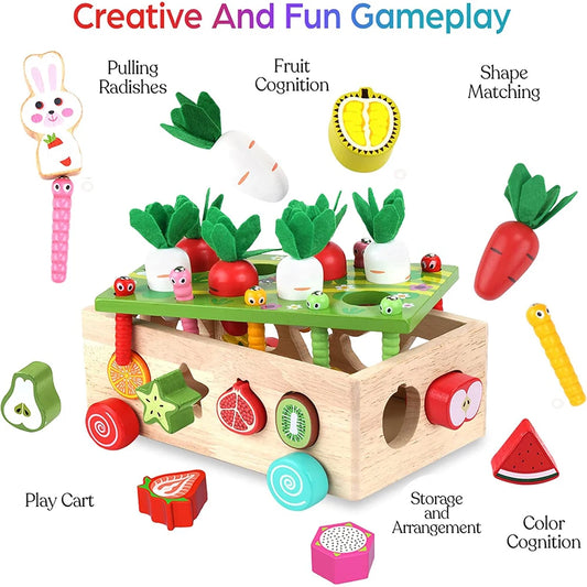 Wooden Montessori Multifunction Shape Sorting Toy, Toddler Preschool Matching Game