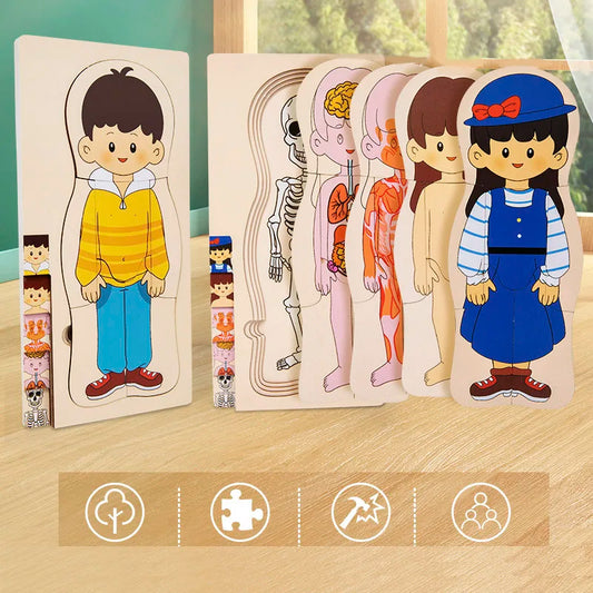Montessori Wooden Multi‑Layer Human Body Puzzle, Anatomy Educational Jigsaw Toy for Kids