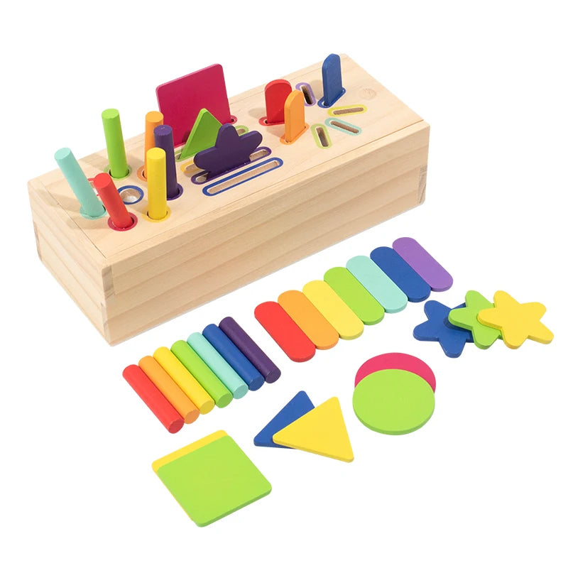 Montessori Wooden 3D Geometric Solids Toy, Shape Sorting & Color Matching