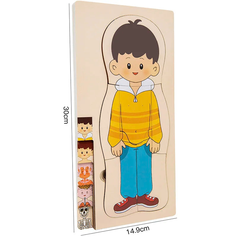 Montessori Wooden Multi‑Layer Human Body Puzzle, Anatomy Educational Jigsaw Toy for Kids