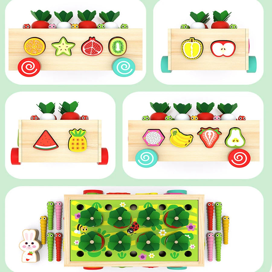 Wooden Montessori Multifunction Shape Sorting Toy, Toddler Preschool Matching Game