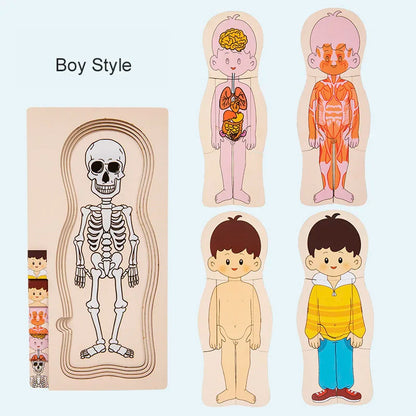 Montessori Wooden Multi‑Layer Human Body Puzzle, Anatomy Educational Jigsaw Toy for Kids