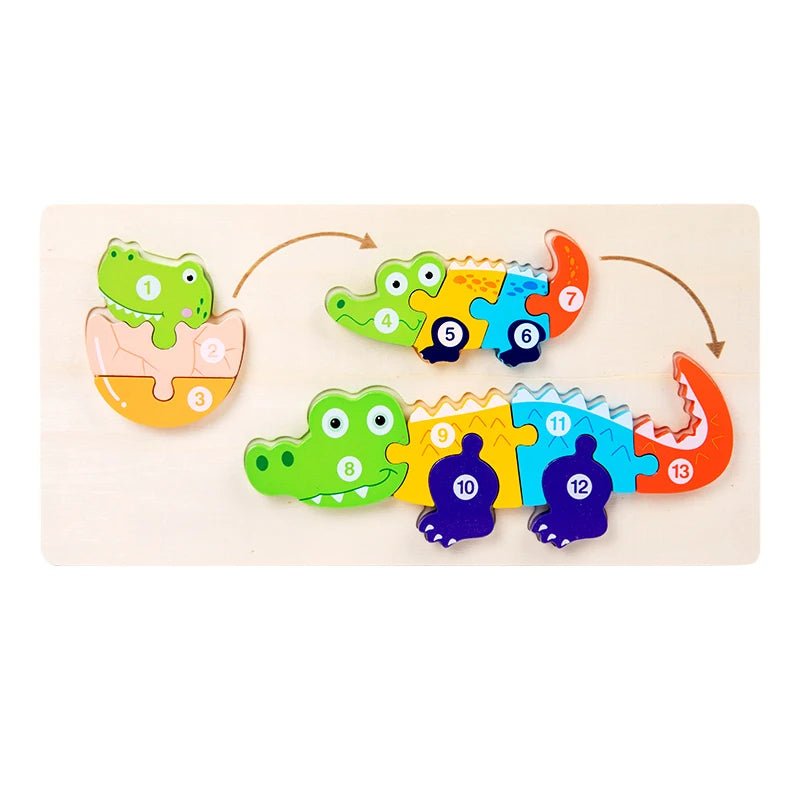 3D Life Cycle Puzzle - LittleOzKid