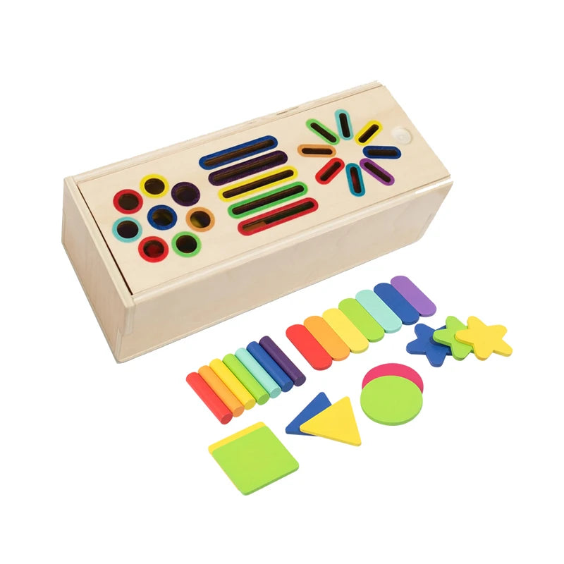 Montessori Wooden 3D Geometric Solids Toy, Shape Sorting & Color Matching