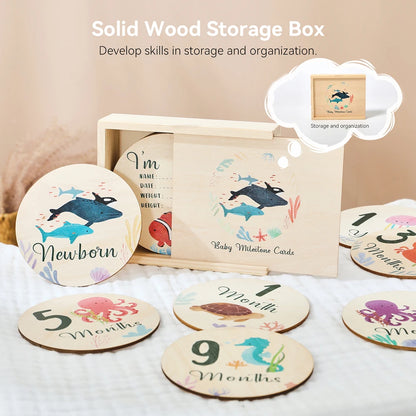 Newborn Wooden Milestone Cards Set Number