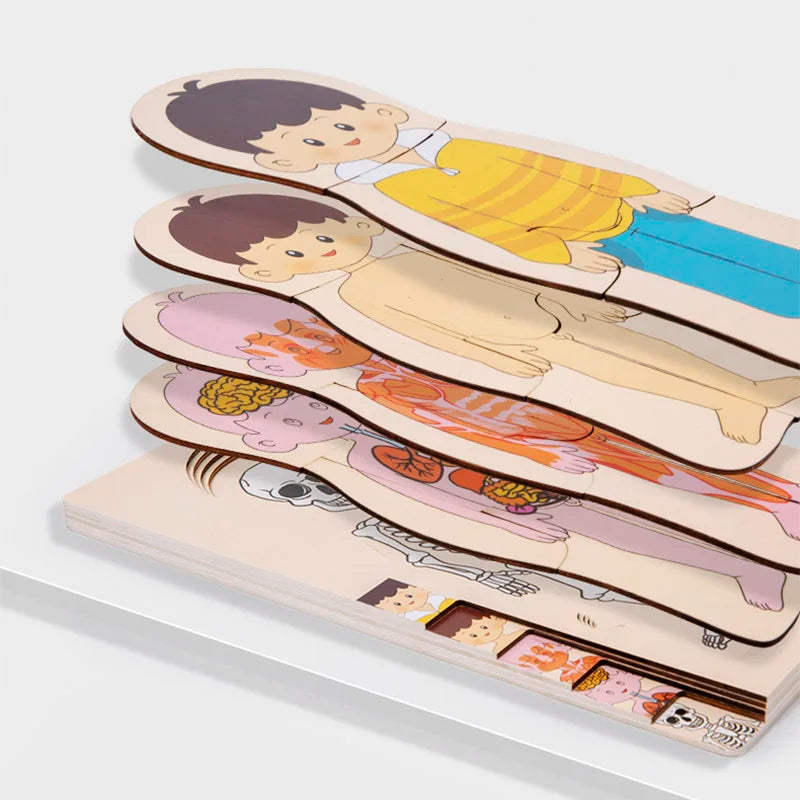 Montessori Wooden Multi‑Layer Human Body Puzzle, Anatomy Educational Jigsaw Toy for Kids
