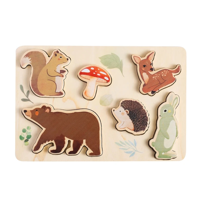 Montessori Wooden Jigsaw Puzzle Building Blocks