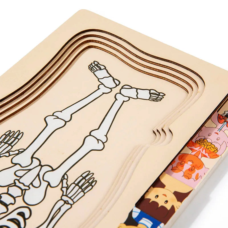 Montessori Wooden Multi‑Layer Human Body Puzzle, Anatomy Educational Jigsaw Toy for Kids